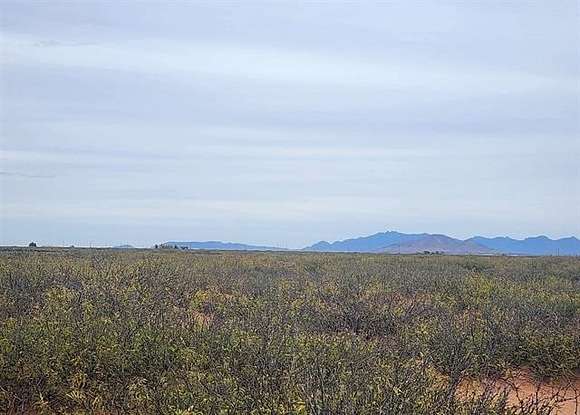 4.6 Acres of Recreational Land & Farm for Sale in Deming, New Mexico
