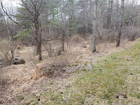 1.2 Acres of Land for Sale in Neversink, New York