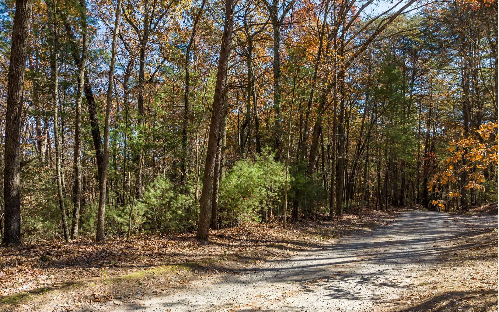 4.2 Acres of Land for Sale in Ellijay, Georgia