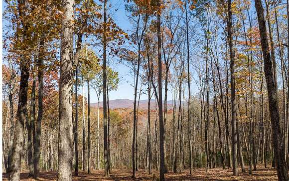 4.3 Acres of Land for Sale in Ellijay, Georgia