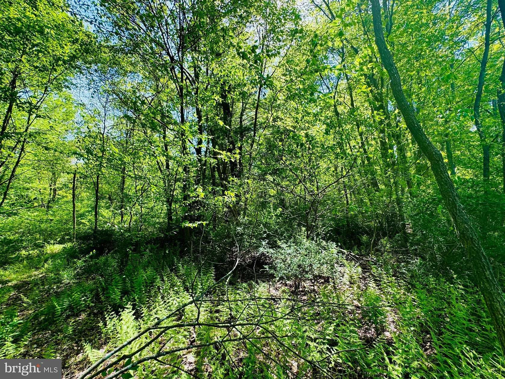 2.46 Acres of Residential Land for Sale in James Creek, Pennsylvania