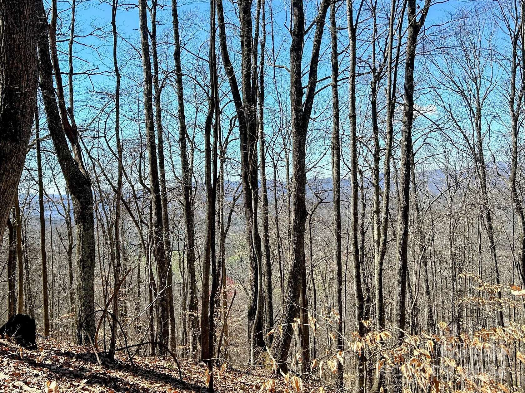 1.6 Acres of Land for Sale in Mars Hill, North Carolina