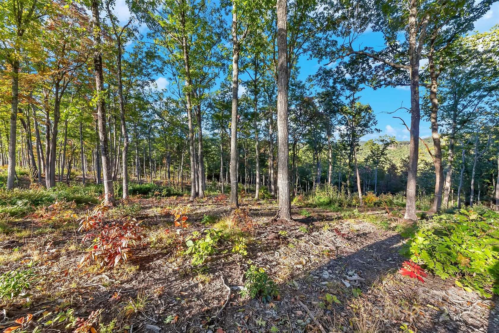2.8 Acres of Residential Land for Sale in Fletcher, North Carolina