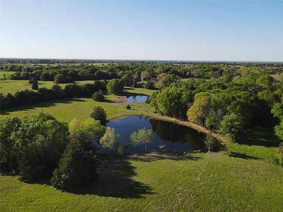 35.4 Acres of Recreational Land for Sale in Telephone, Texas
