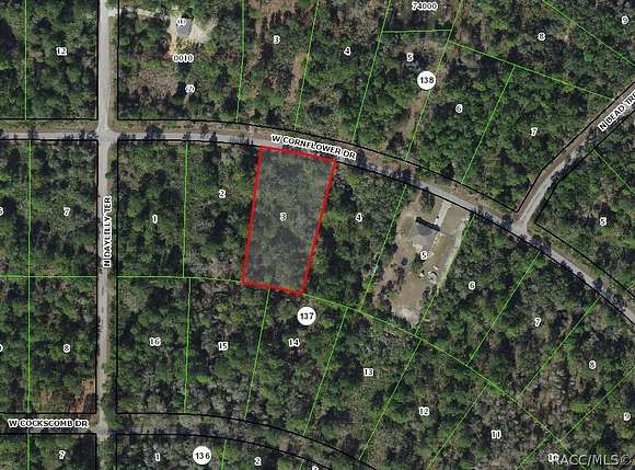 1.26 Acres of Residential Land for Sale in Crystal River, Florida