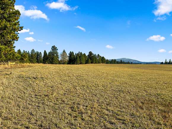 160 Acres of Recreational Land for Sale in Craigmont, Idaho