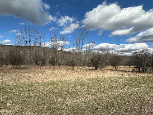 12 Acres of Recreational Land for Sale in Grove, New York
