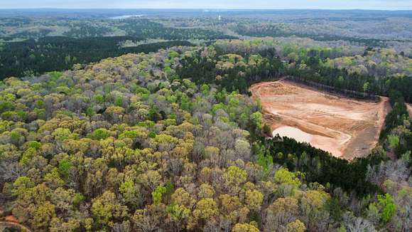 48.5 Acres of Land for Sale in Whitesburg, Georgia