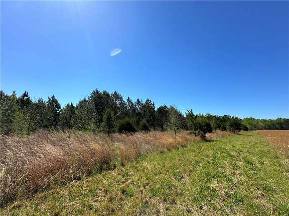 12 Acres of Land for Sale in Hatchechubbee, Alabama