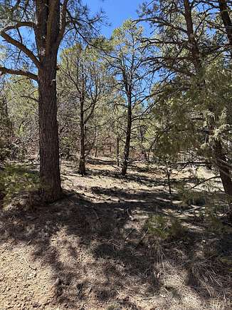 0.68 Acres of Residential Land for Sale in Tijeras, New Mexico