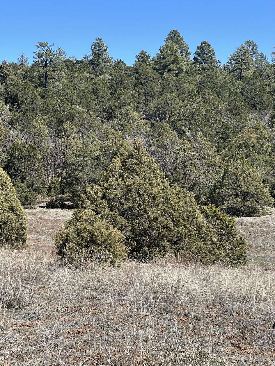 1 Acre of Residential Land for Sale in Tijeras, New Mexico