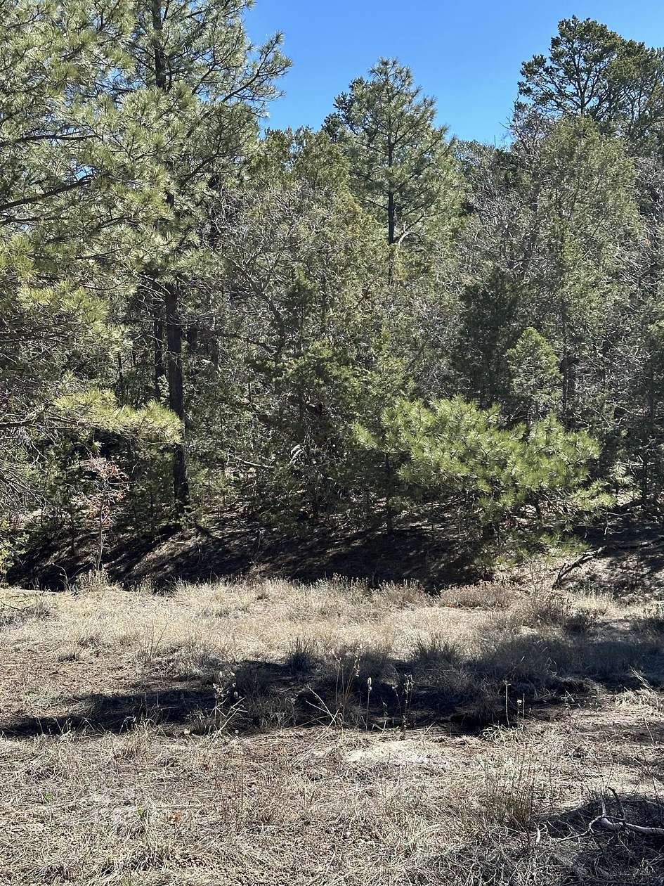 0.66 Acres of Residential Land for Sale in Tijeras, New Mexico