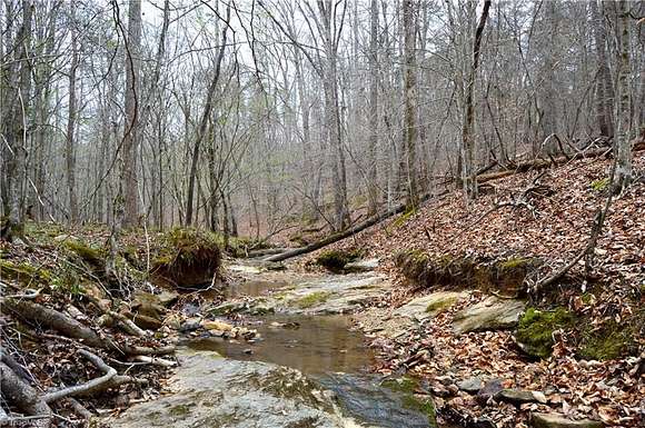 23.3 Acres of Recreational Land for Sale in Eden, North Carolina