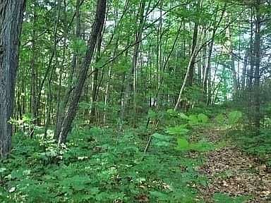 0.78 Acres of Residential Land for Sale in Crandon, Wisconsin