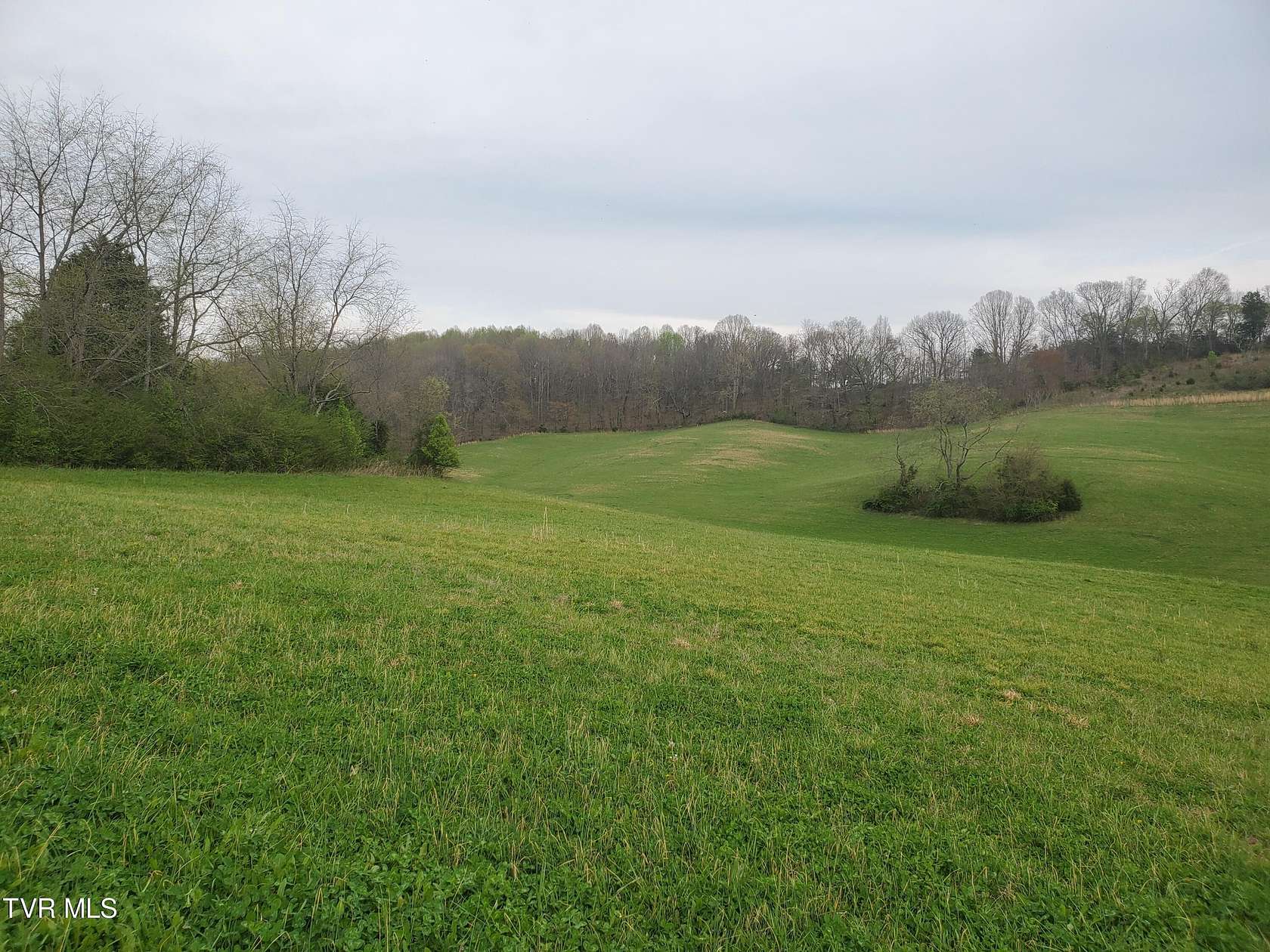 14 Acres of Land for Sale in Limestone, Tennessee