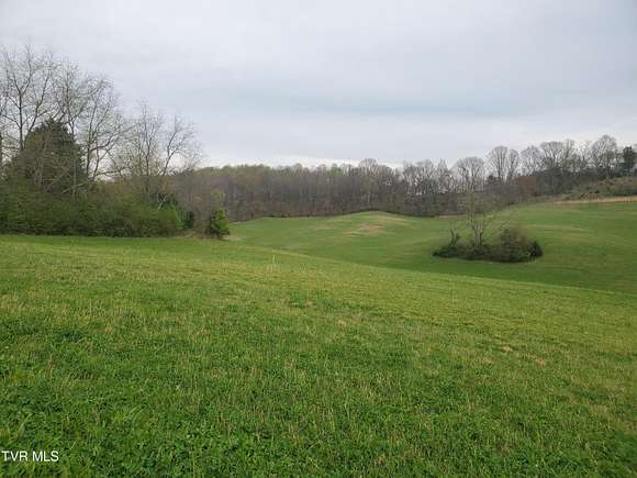 14 Acres of Land for Sale in Limestone, Tennessee