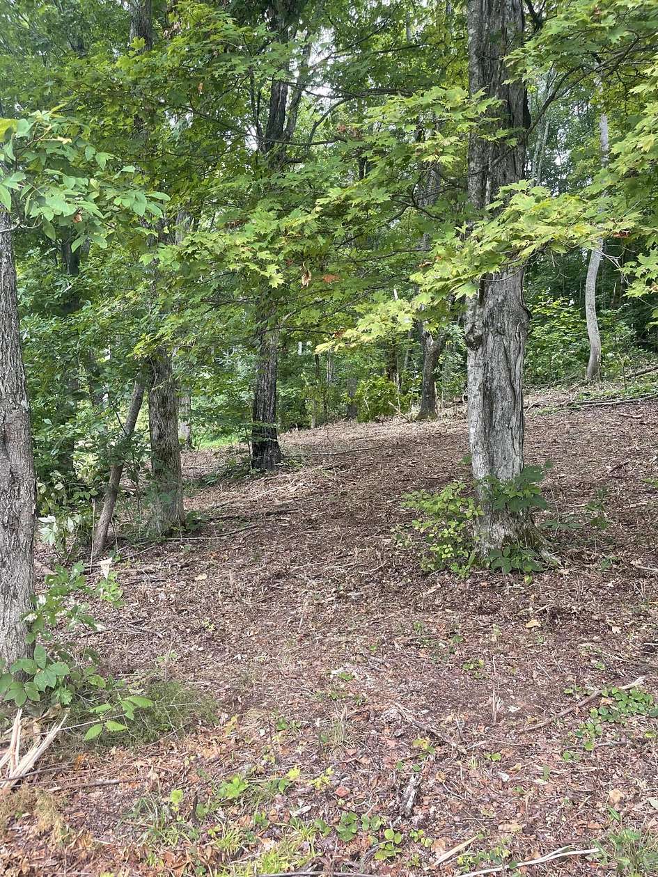 1 Acre of Residential Land for Sale in Chuckey, Tennessee