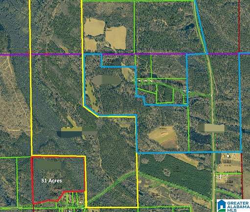 31 Acres of Recreational Land for Sale in Camden, Alabama