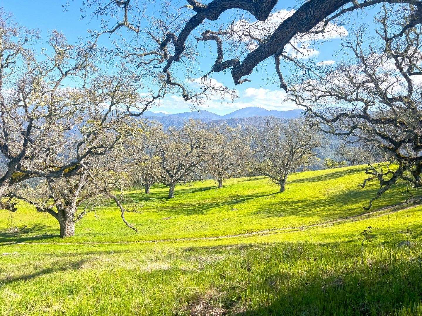 69 Acres of Land for Sale in Carmel-by-the-Sea, California