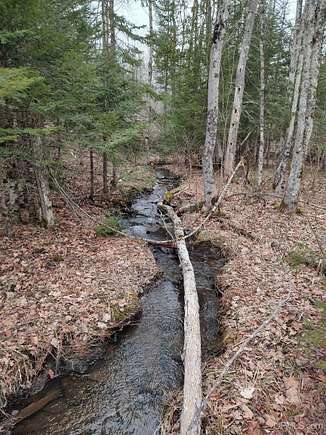 51.6 Acres of Recreational Land for Sale in L'Anse, Michigan