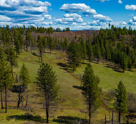 20.2 Acres of Recreational Land & Farm for Sale in Weippe, Idaho