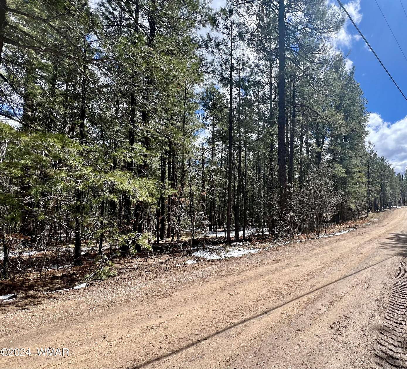 2.5 Acres of Residential Land for Sale in Alpine, Arizona