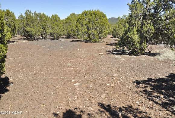 11.1 Acres of Land for Sale in Show Low, Arizona