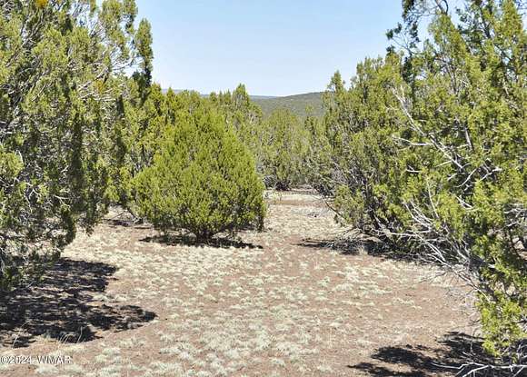 10 Acres of Residential Land for Sale in Show Low, Arizona