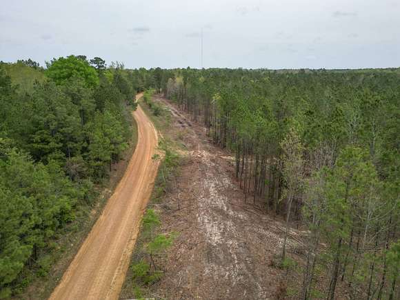 125 Acres of Recreational Land for Sale in Grayson, Louisiana