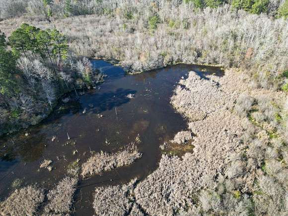 50 Acres of Recreational Land for Sale in Eros, Louisiana