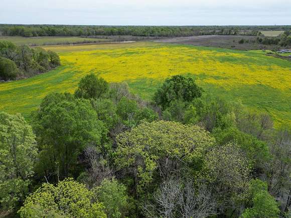 39 Acres of Agricultural Land for Sale in Winnsboro, Louisiana