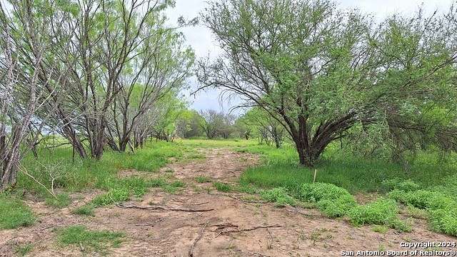 5.2 Acres of Improved Residential Land for Sale in Elmendorf, Texas