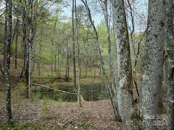 4 Acres of Land for Sale in Tryon, North Carolina