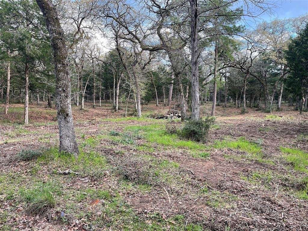 Residential Land for Sale in Smithville, Texas
