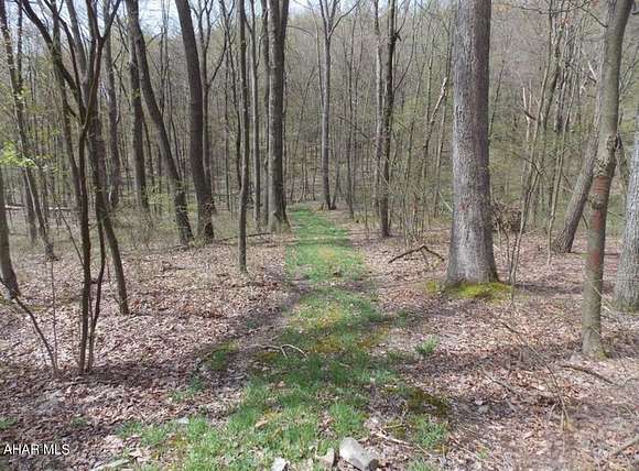 7.5 Acres of Residential Land for Sale in Tyrone, Pennsylvania