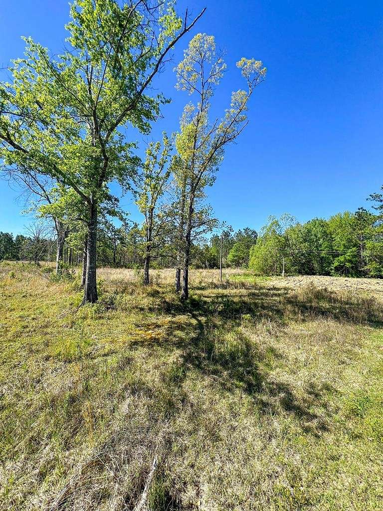 1.2 Acres of Residential Land for Sale in Poplarville, Mississippi