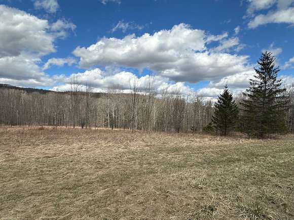 10.3 Acres of Recreational Land for Sale in Grove, New York