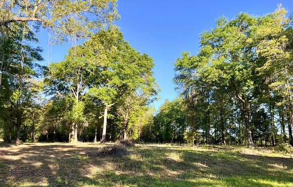 3.8 Acres of Residential Land for Sale in Baker, Florida