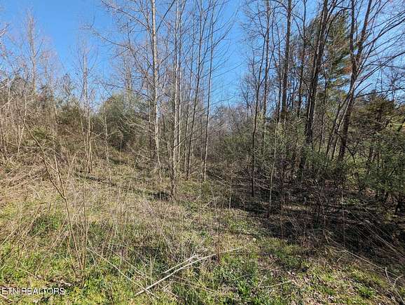0.75 Acres of Residential Land for Sale in Huntsville, Tennessee