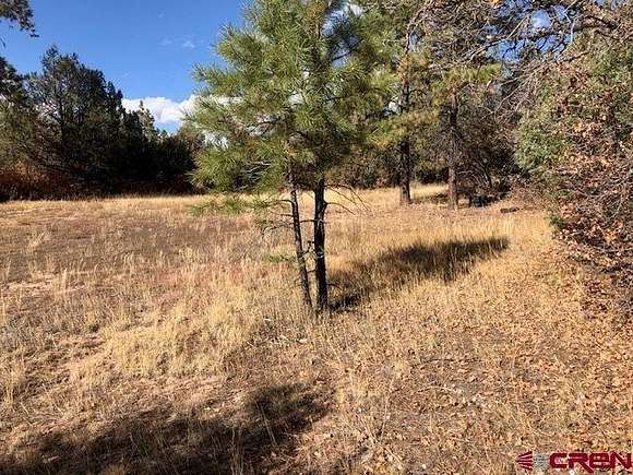 1.1 Acres of Residential Land for Sale in Pagosa Springs, Colorado