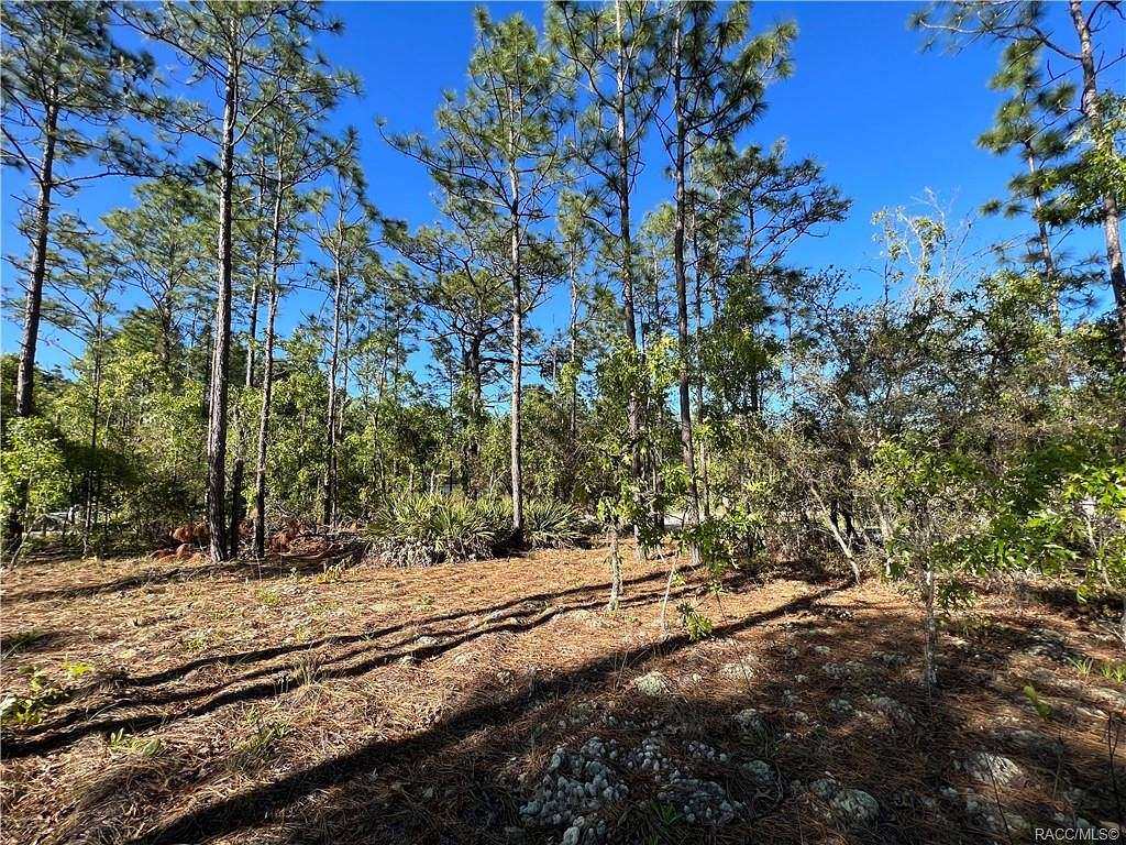 0.36 Acres of Residential Land for Sale in Citrus Springs, Florida