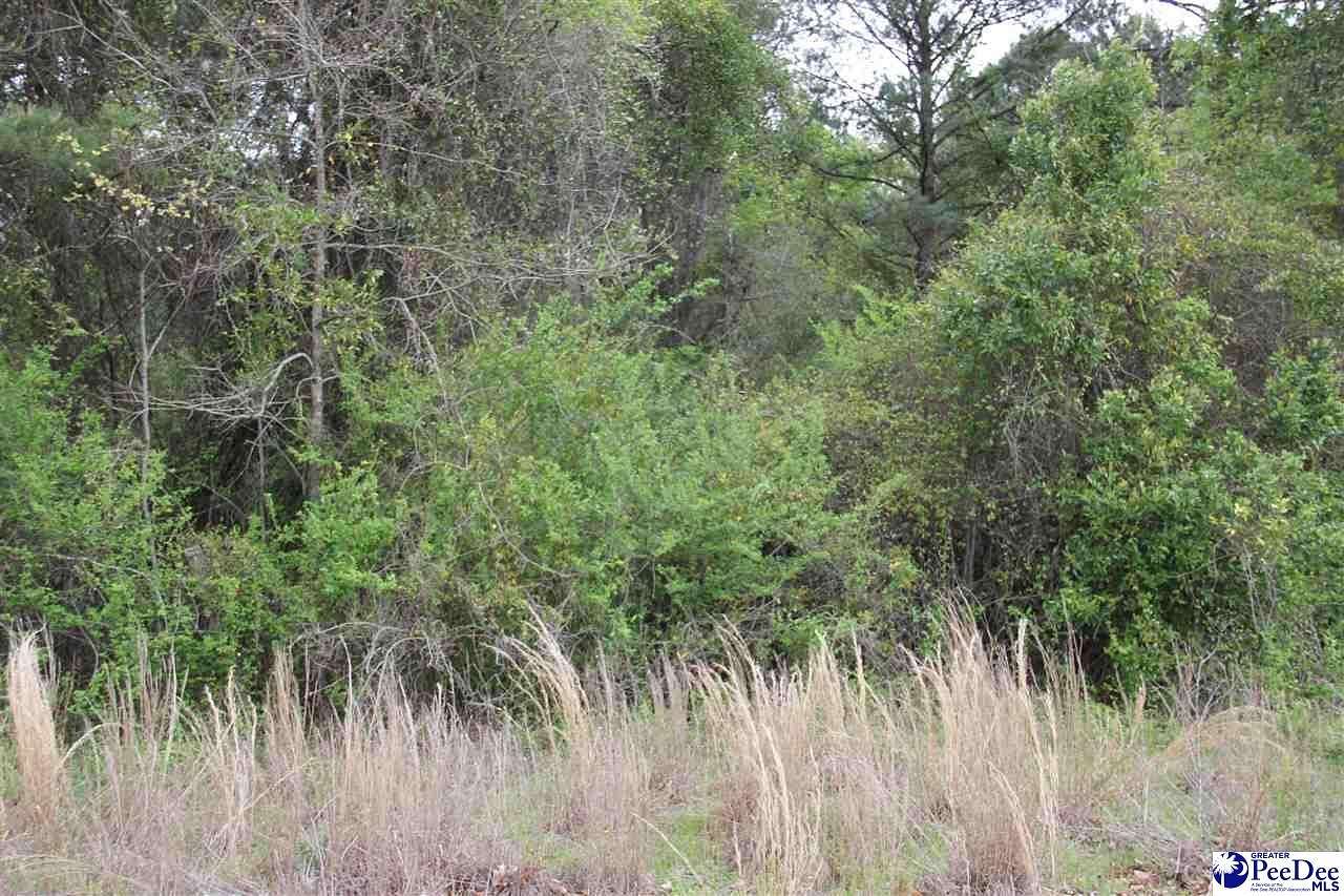 1 Acres of Residential Land for Sale in Patrick, South Carolina