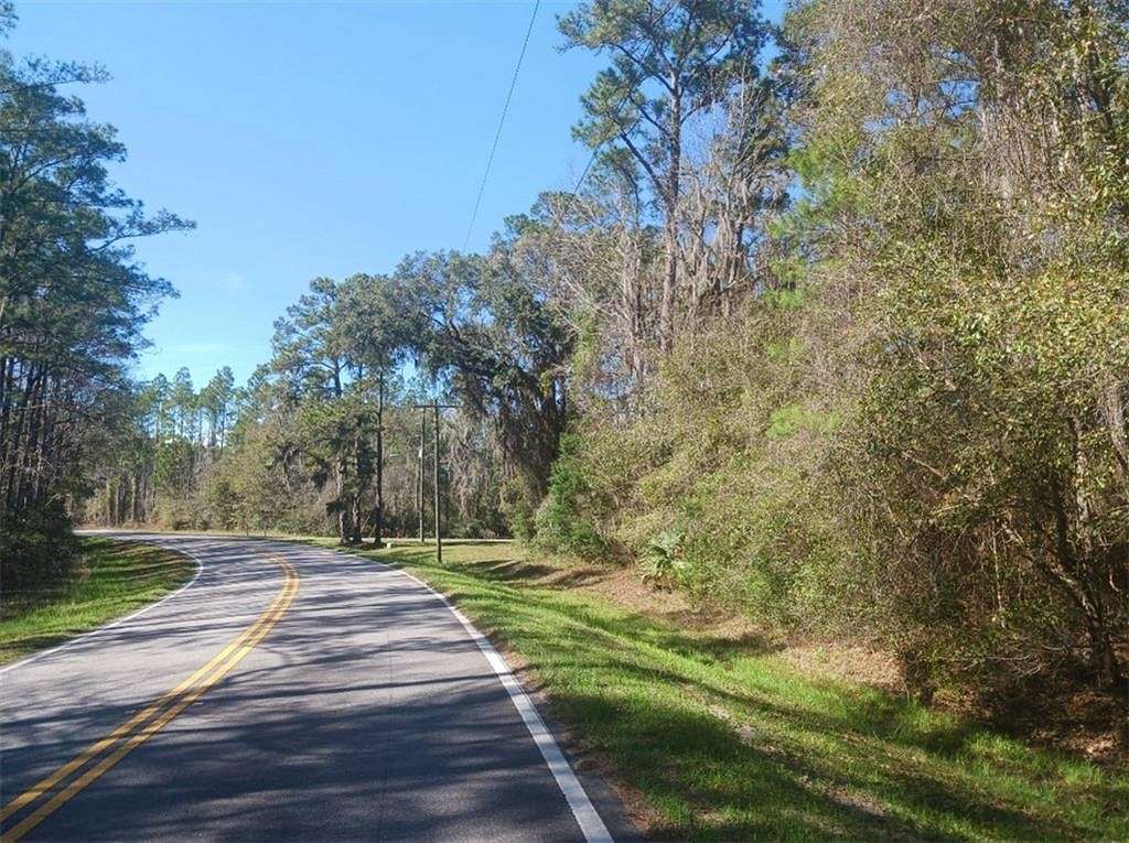 21 Acres of Agricultural Land for Sale in Waverly, Georgia