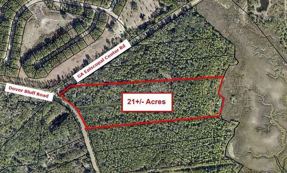 21 Acres of Agricultural Land for Sale in Waverly, Georgia