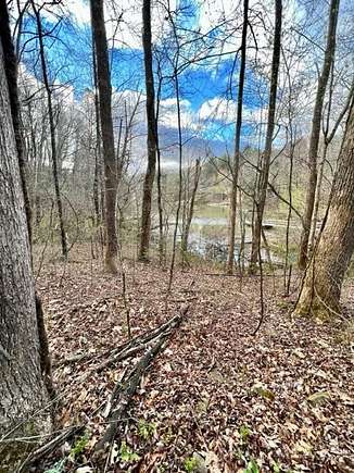 0.65 Acres of Residential Land for Sale in Robbinsville, North Carolina