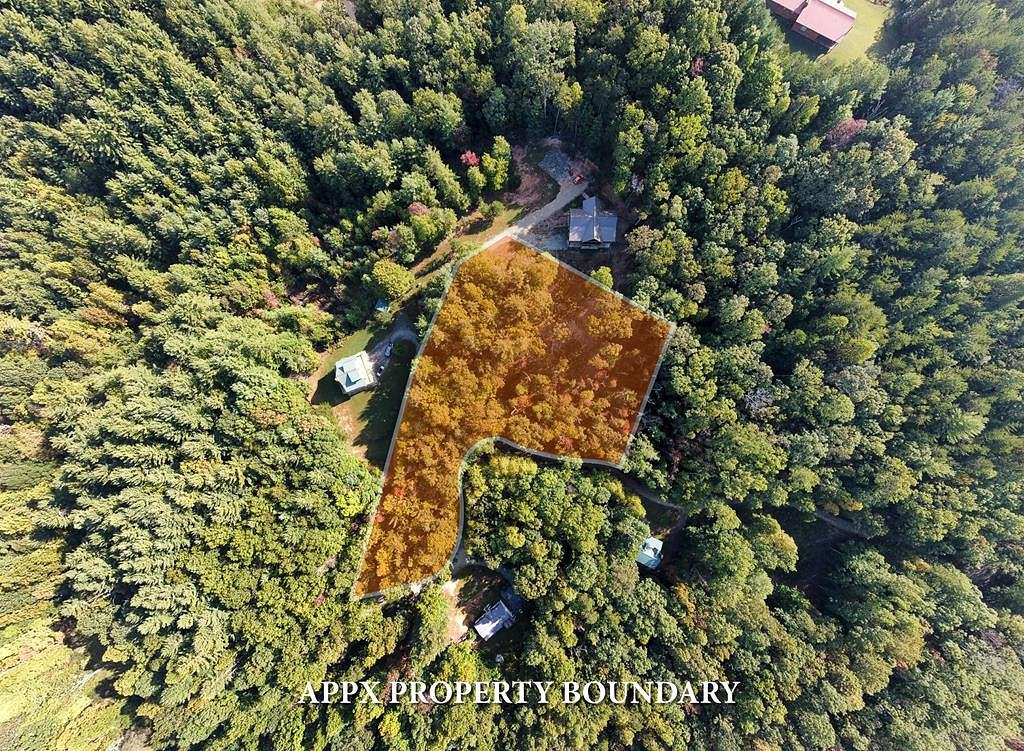 Land for Sale in Morganton, Georgia