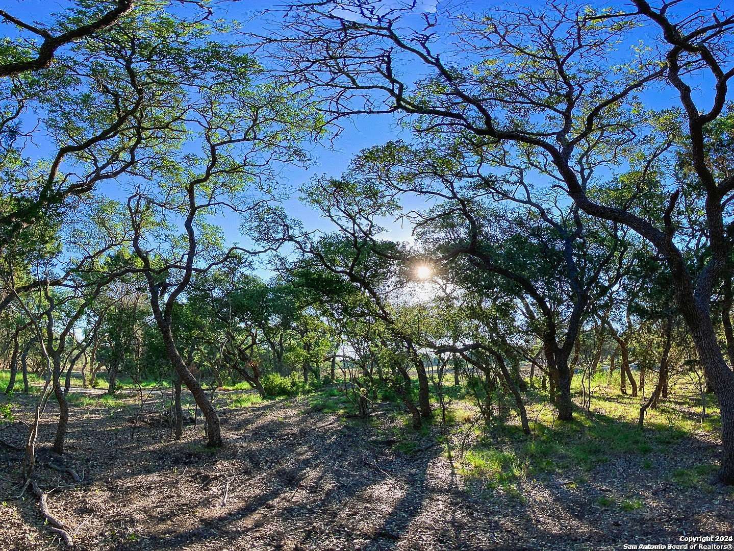 6.5 Acres of Residential Land for Sale in Center Point, Texas