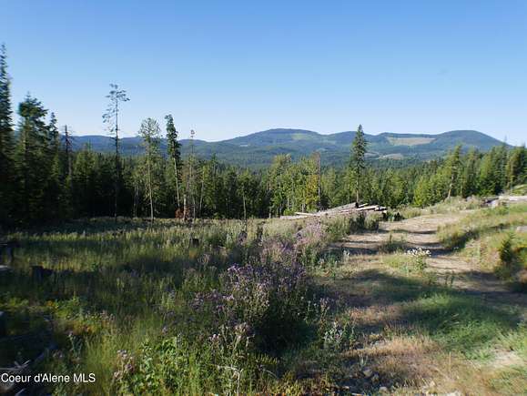 10 Acres of Land for Sale in St. Maries, Idaho