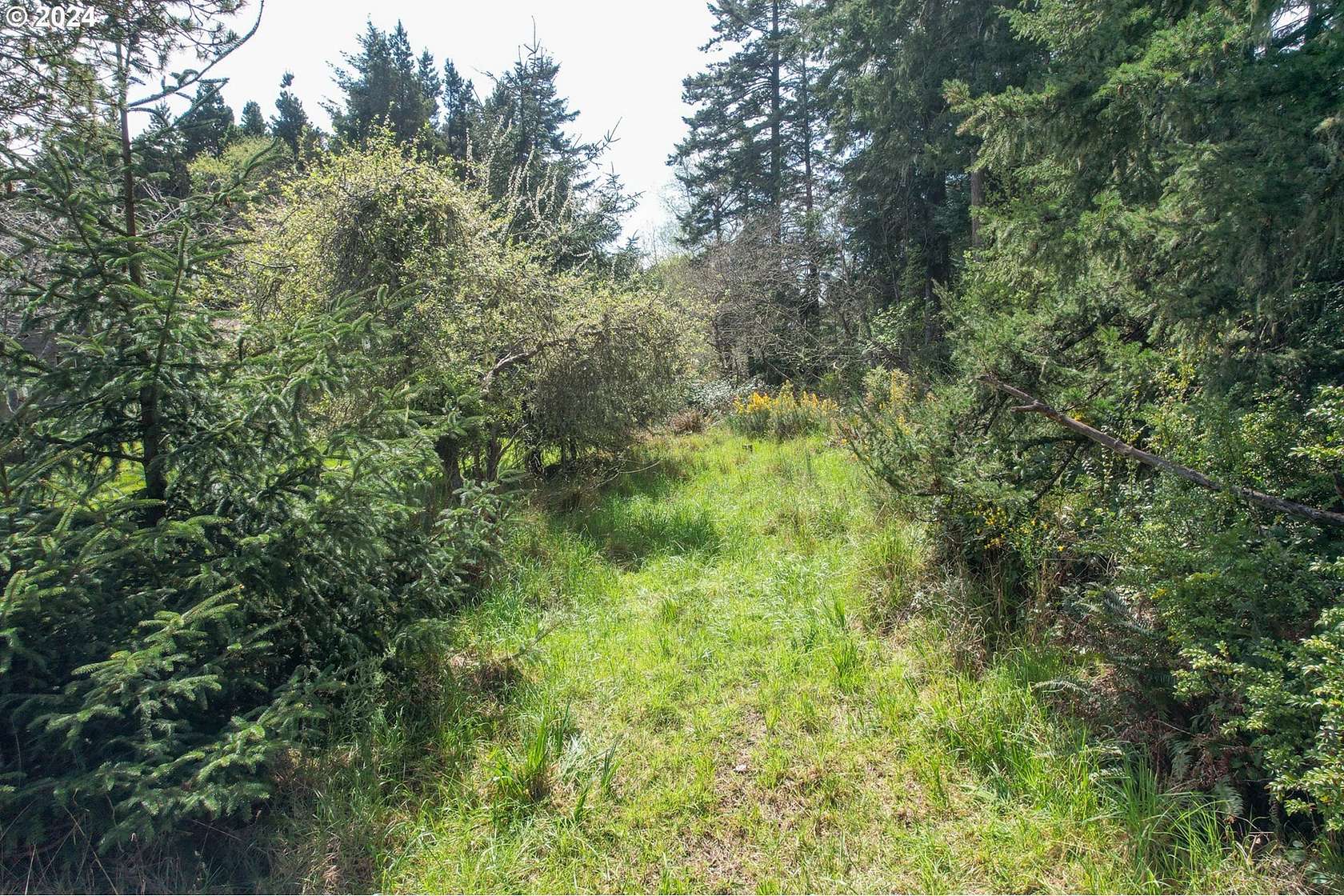 1.23 Acres of Residential Land for Sale in Bandon, Oregon