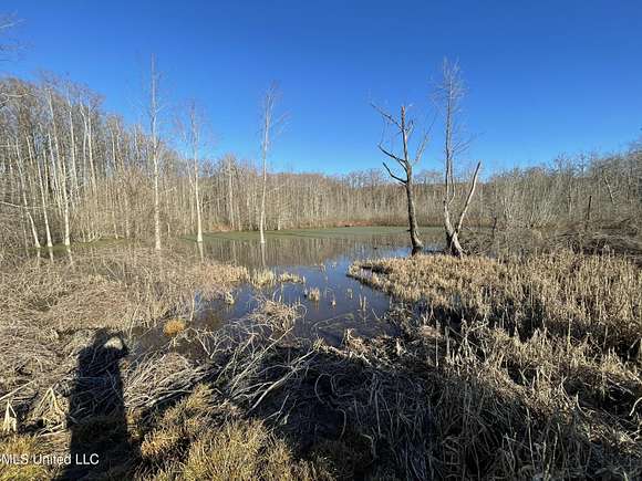 73.1 Acres of Recreational Land for Sale in Tchula, Mississippi